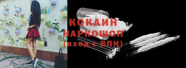 индика Балахна