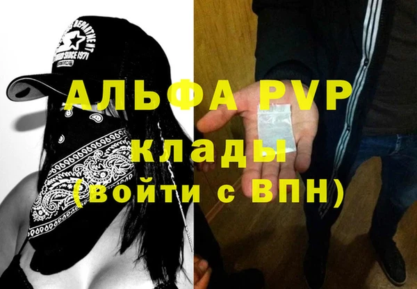 индика Балахна