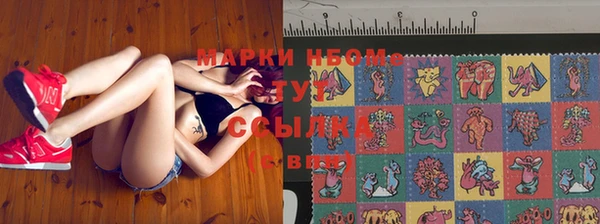 индика Балахна