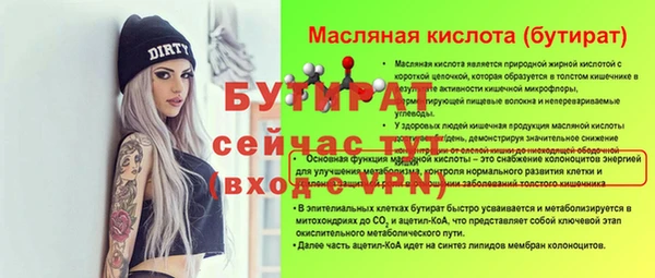 индика Балахна