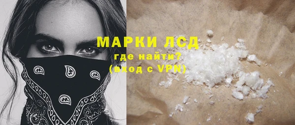индика Балахна