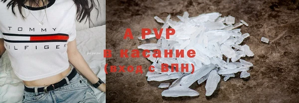 индика Балахна