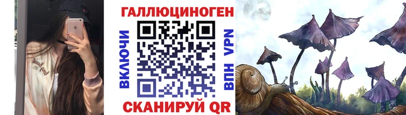 как найти   Биробиджан  Галлюциногенные грибы ЛСД 
